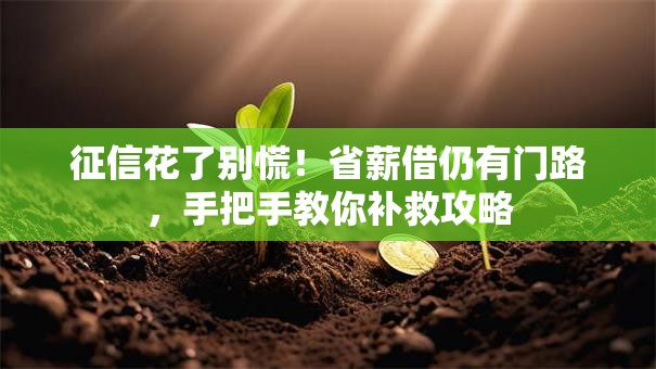 征信花了别慌!省薪借仍有门路,手把手教你补救攻略 征信花了别慌!省薪借仍有门路,手把手教你补救攻略