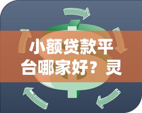 小额贷款平台哪家好？灵活周转攻略+避坑指南