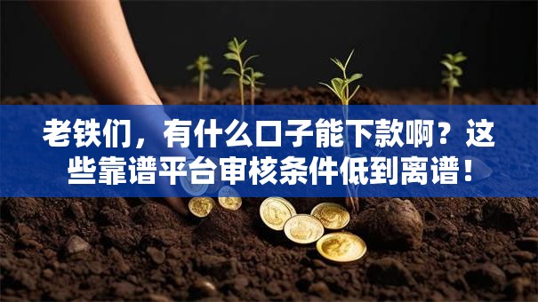 老铁们,有什么口子能下款啊?这些靠谱平台审核条件低到离谱! 老铁们,有什么口子能下款啊?这些靠谱平台审核条件低到离谱!