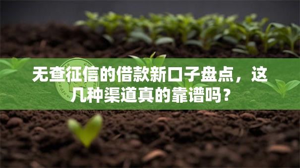 无查征信的借款新口子盘点,这几种渠道真的靠谱吗? 无查征信的借款新口子盘点,这几种渠道真的靠谱吗?