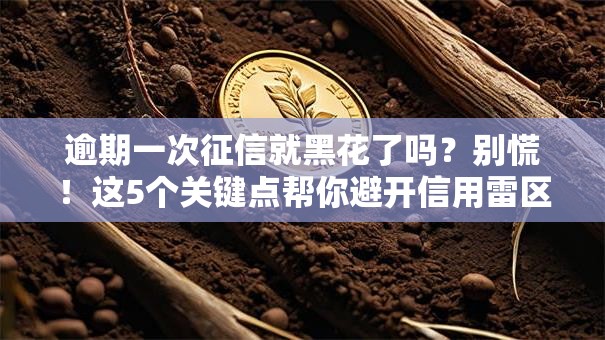 逾期一次征信就黑花了吗?别慌!这5个关键点帮你避开信用雷区 逾期一次征信就黑花了吗?别慌!这5个关键点帮你避开信用雷区