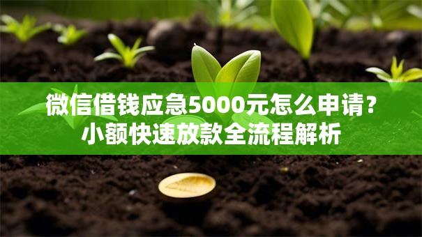 微信借钱应急5000元怎么申请?小额快速放款全流程解析 微信借钱应急5000元怎么申请?小额快速放款全流程解析