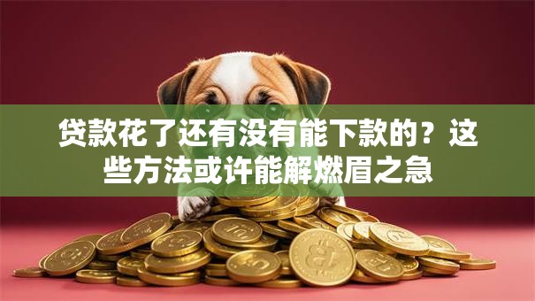 贷款花了还有没有能下款的?这些方法或许能解燃眉之急 贷款花了还有没有能下款的?这些方法或许能解燃眉之急