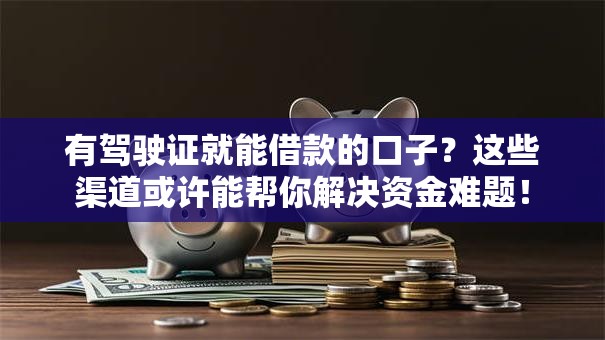 有驾驶证就能借款的口子？这些渠道或许能帮你解决资金难题！