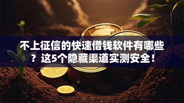 不上征信的快速借钱软件有哪些?这5个隐藏渠道实测安全! 不上征信的快速借钱软件有哪些?这5个隐藏渠道实测安全!