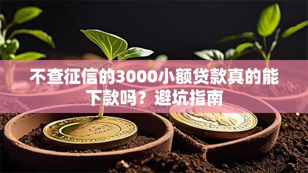 不查征信的3000小额贷款真的能下款吗？避坑指南