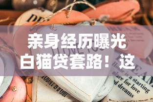 亲身经历曝光白猫贷套路！这些坑人细节千万别踩雷