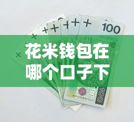 花米钱包在哪个口子下载?安全渠道与避坑指南全解析 花米钱包在哪个口子下载?安全渠道与避坑指南全解析