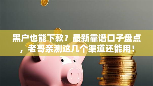 黑户也能下款?最新靠谱口子盘点,老哥亲测这几个渠道还能用! 黑户也能下款?最新靠谱口子盘点,老哥亲测这几个渠道还能用!