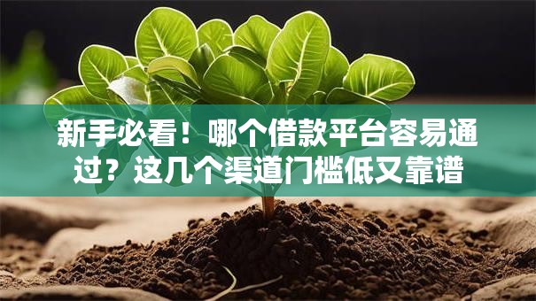 新手必看!哪个借款平台容易通过?这几个渠道门槛低又靠谱 新手必看!哪个借款平台容易通过?这几个渠道门槛低又靠谱