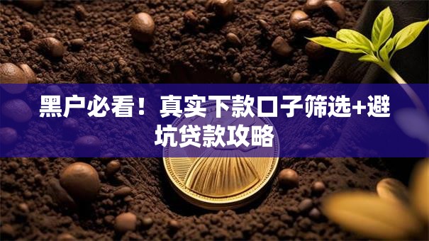 黑户必看！真实下款口子筛选+避坑贷款攻略