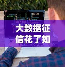 大数据征信花了如何补救？必过网贷申请技巧全解析