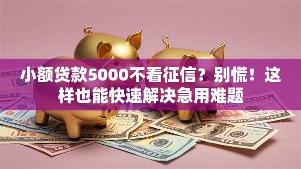 小额贷款5000不看征信？别慌！这样也能快速解决急用难题