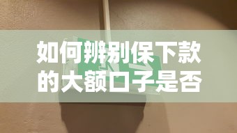 如何辨别保下款的大额口子是否安全可靠？这3个关键点要盯紧