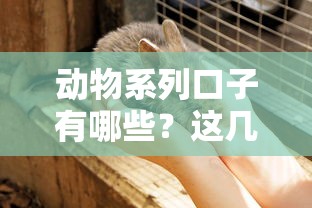 动物系列口子有哪些?这几种灵活好用的贷款产品别错过 动物系列口子有哪些?这几种灵活好用的贷款产品别错过