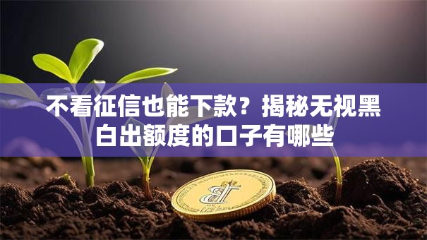 不看征信也能下款?揭秘无视黑白出额度的口子有哪些 不看征信也能下款?揭秘无视黑白出额度的口子有哪些