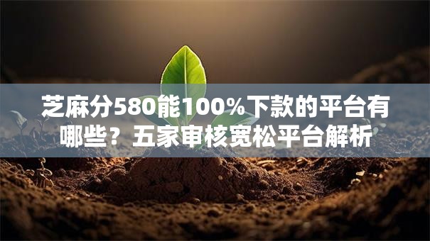 芝麻分580能100%下款的平台有哪些?五家审核宽松平台解析 芝麻分580能100%下款的平台有哪些?五家审核宽松平台解析