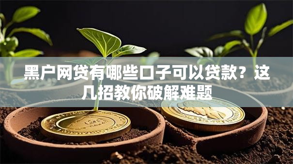 黑户网贷有哪些口子可以贷款？这几招教你破解难题
