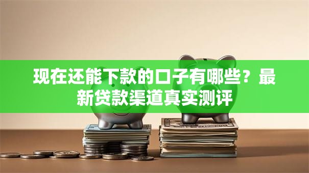 现在还能下款的口子有哪些?最新贷款渠道真实测评 现在还能下款的口子有哪些?最新贷款渠道真实测评