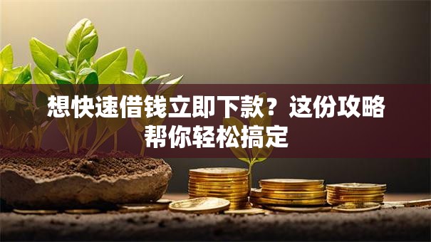 想快速借钱立即下款?这份攻略帮你轻松搞定 想快速借钱立即下款?这份攻略帮你轻松搞定