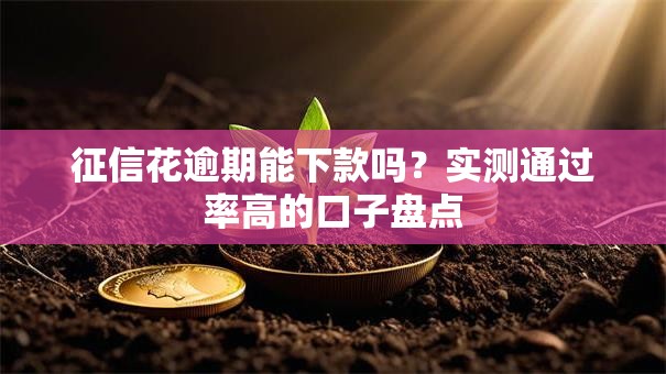 征信花逾期能下款吗?实测通过率高的口子盘点 征信花逾期能下款吗?实测通过率高的口子盘点