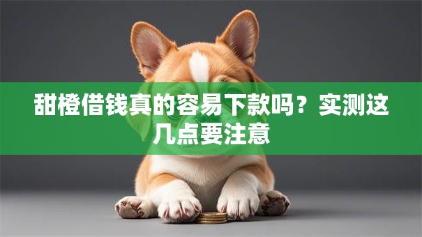 甜橙借钱真的容易下款吗?实测这几点要注意 甜橙借钱真的容易下款吗?实测这几点要注意