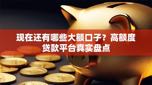 现在还有哪些大额口子?高额度贷款平台真实盘点 现在还有哪些大额口子?高额度贷款平台真实盘点