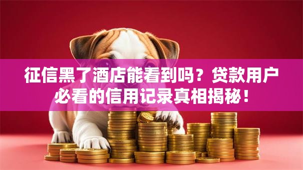 征信黑了酒店能看到吗?贷款用户必看的信用记录真相揭秘! 征信黑了酒店能看到吗?贷款用户必看的信用记录真相揭秘!