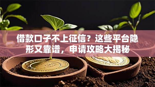 借款口子不上征信?这些平台隐形又靠谱,申请攻略大揭秘 借款口子不上征信?这些平台隐形又靠谱,申请攻略大揭秘