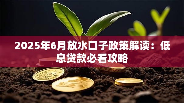 2025年6月放水口子政策解读:低息贷款必看攻略 2025年6月放水口子政策解读:低息贷款必看攻略