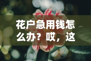 花户急用钱怎么办？哎，这几个渠道或许能帮到你！