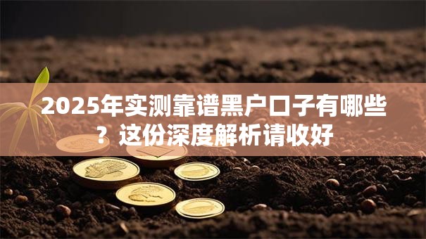 2025年实测靠谱黑户口子有哪些？这份深度解析请收好