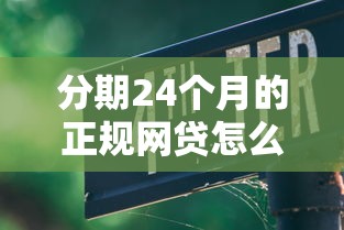 分期24个月的正规网贷怎么选?低息贷款避坑指南看这里 分期24个月的正规网贷怎么选?低息贷款避坑指南看这里