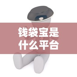 钱袋宝是什么平台？深度测评贷款服务真实体验