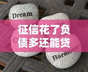征信花了负债多还能贷款吗？真实经验分享这些方法有用！
