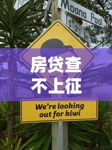 房贷查不上征信怎么办？手把手教你解决方法