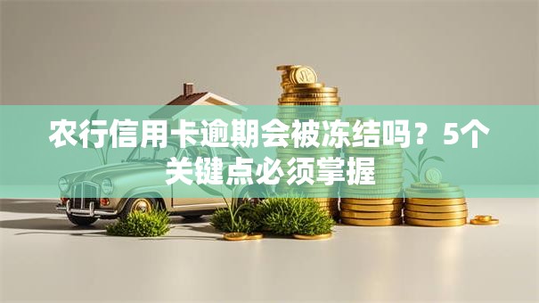 农行信用卡逾期会被冻结吗？5个关键点必须掌握