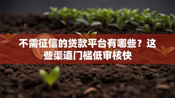 不需征信的贷款平台有哪些？这些渠道门槛低审核快