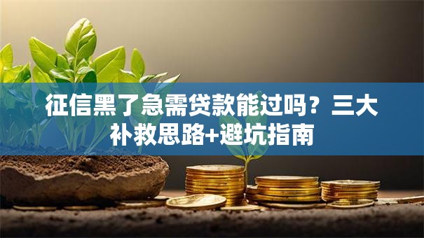 征信黑了急需贷款能过吗？三大补救思路+避坑指南