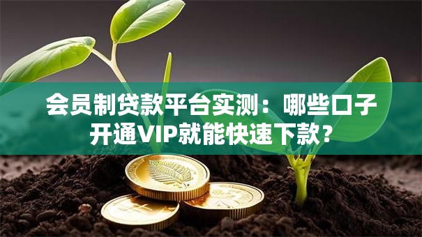 会员制贷款平台实测：哪些口子开通VIP就能快速下款？