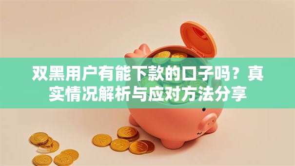 双黑用户有能下款的口子吗？真实情况解析与应对方法分享