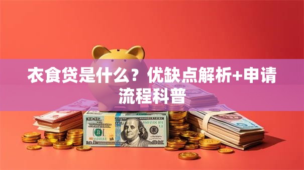 衣食贷是什么？优缺点解析+申请流程科普