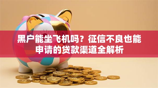 黑户能坐飞机吗？征信不良也能申请的贷款渠道全解析