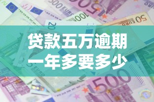 贷款五万逾期一年多要多少钱？算完利息滞纳金直冒汗