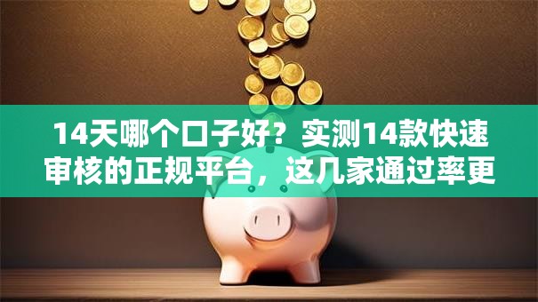 14天哪个口子好？实测14款快速审核的正规平台，这几家通过率更高！