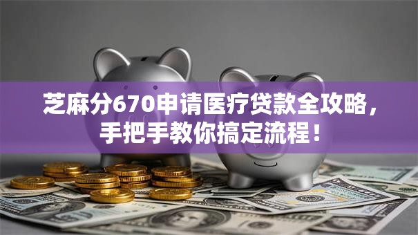 芝麻分670申请医疗贷款全攻略，手把手教你搞定流程！