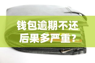 钱包逾期不还后果多严重？教你三招避免信用危机！