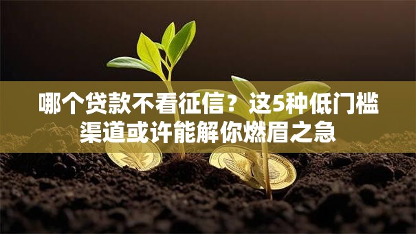 哪个贷款不看征信?这5种低门槛渠道或许能解你燃眉之急 哪个贷款不看征信?这5种低门槛渠道或许能解你燃眉之急