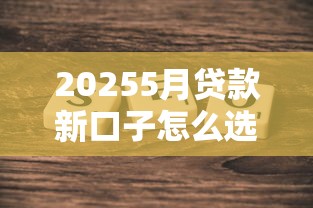 20255月贷款新口子怎么选？最新攻略助你快速下款