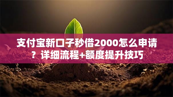 支付宝新口子秒借2000怎么申请？详细流程+额度提升技巧